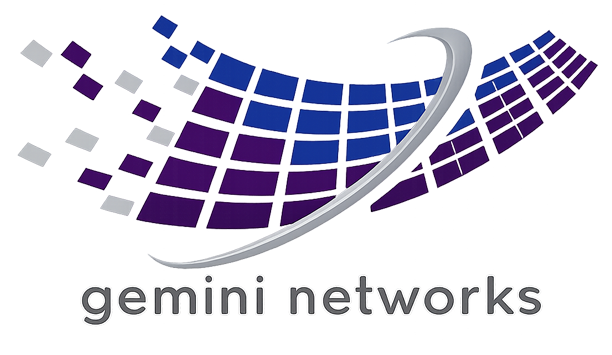 Gemini Networks