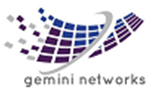 Gemini Networks